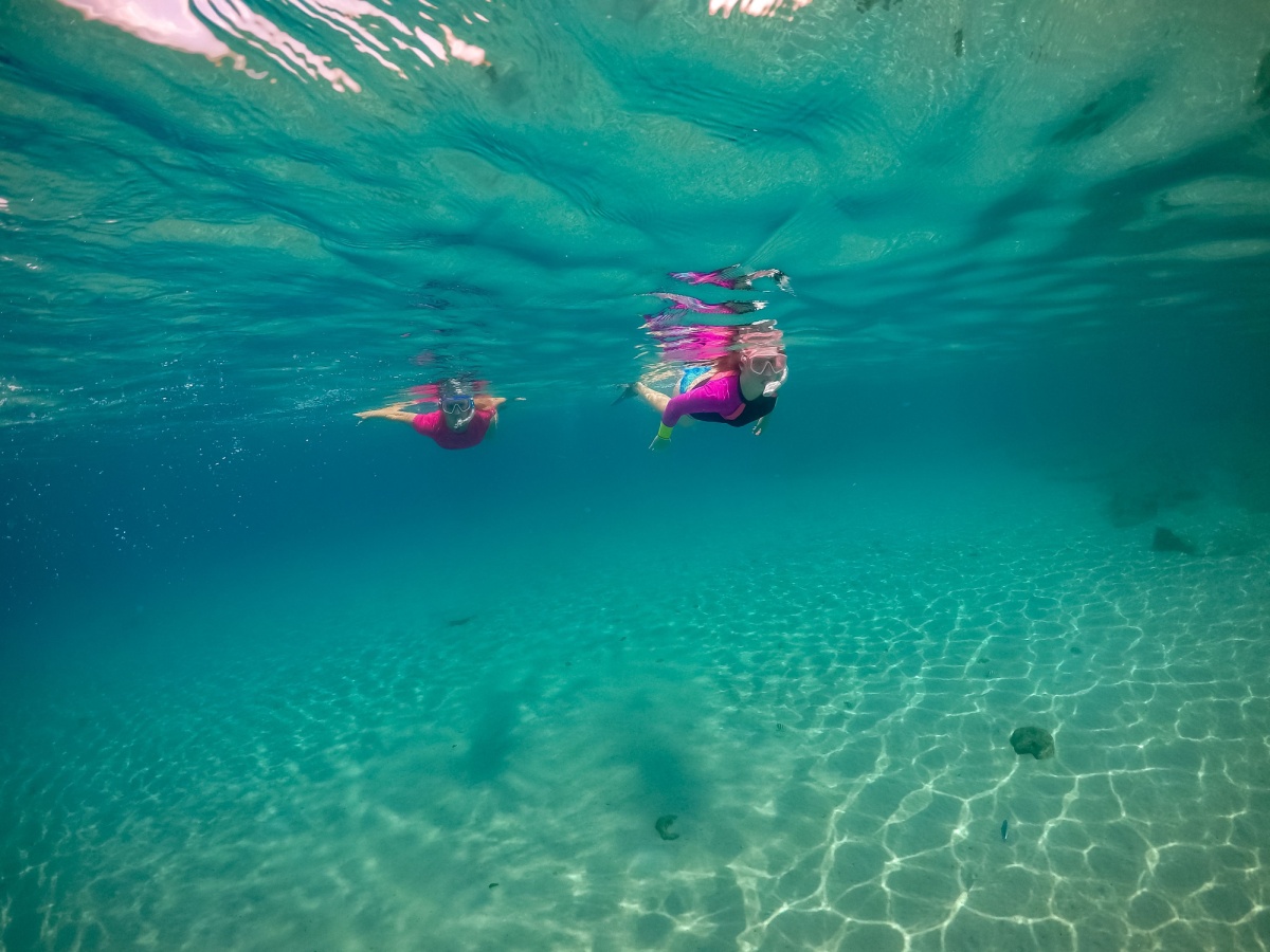 Snorkeling and Diving Around Pensacola Beach Reefs Wrecks and What to Expect Blog Article