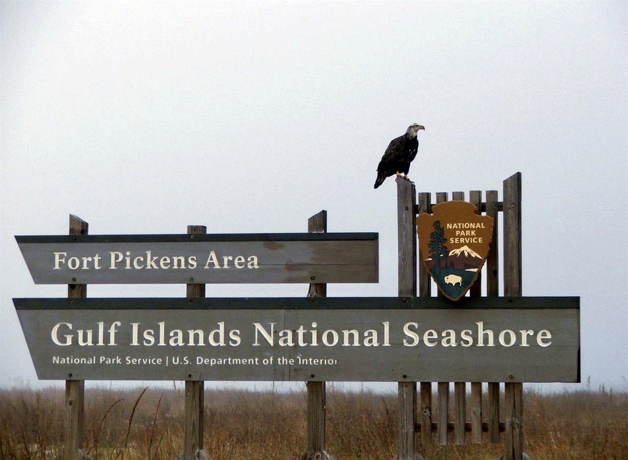 Things To Do Gulf Islands National Seashore